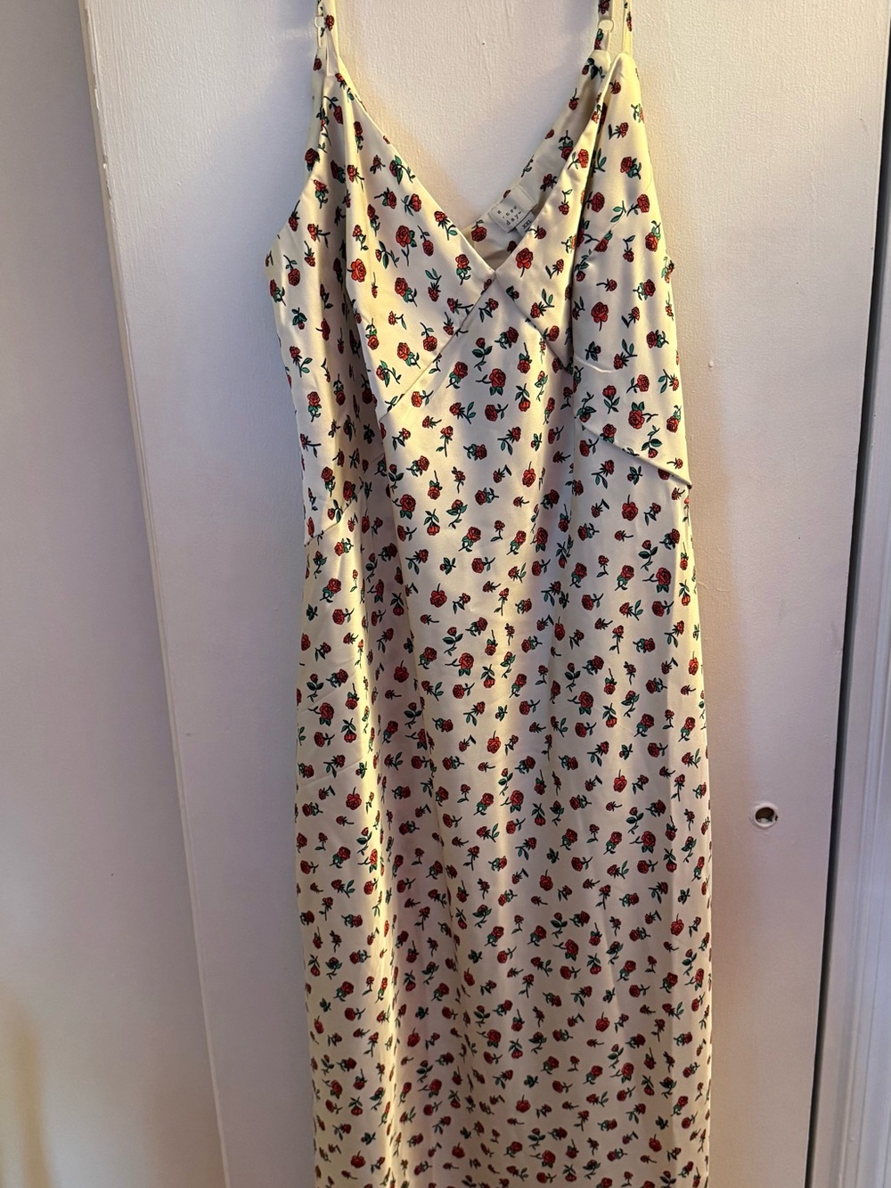 a new day Cream Maxi Dress with Red Rose Print